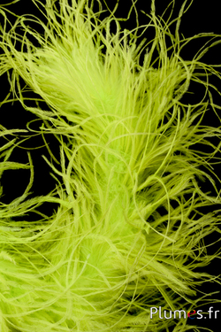 Autruche mèche  - 10 cm - vert vif